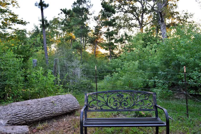 New Adventure RV Park & Horse Hotel, LLC Picture 8