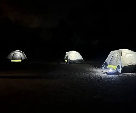 Cedar Group Camp, Del Valle Regional Park