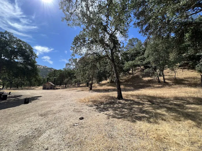 Cedar Group Camp, Del Valle Regional Park Picture 2