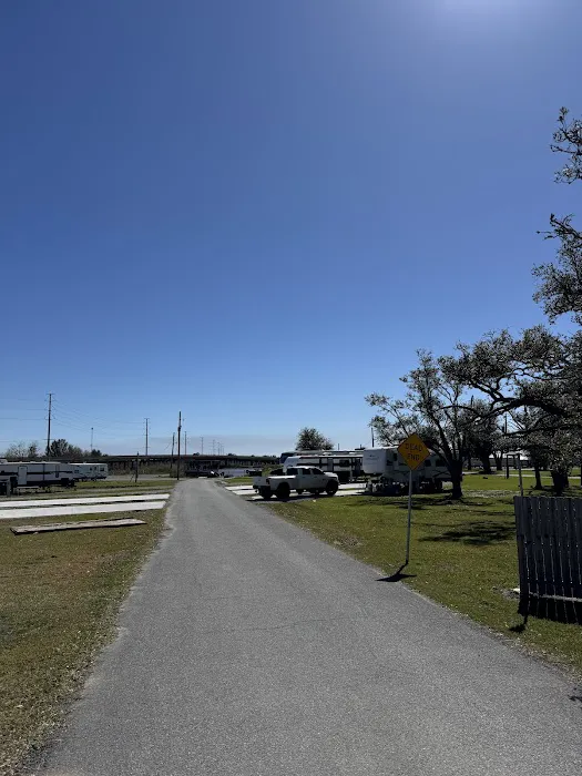 Bayou Oaks Resort & Marina Picture 2