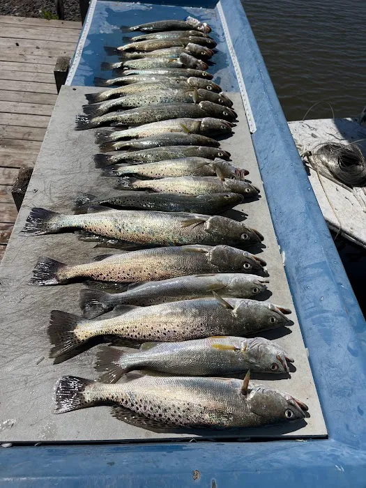 Bayou Oaks Resort & Marina Picture 10