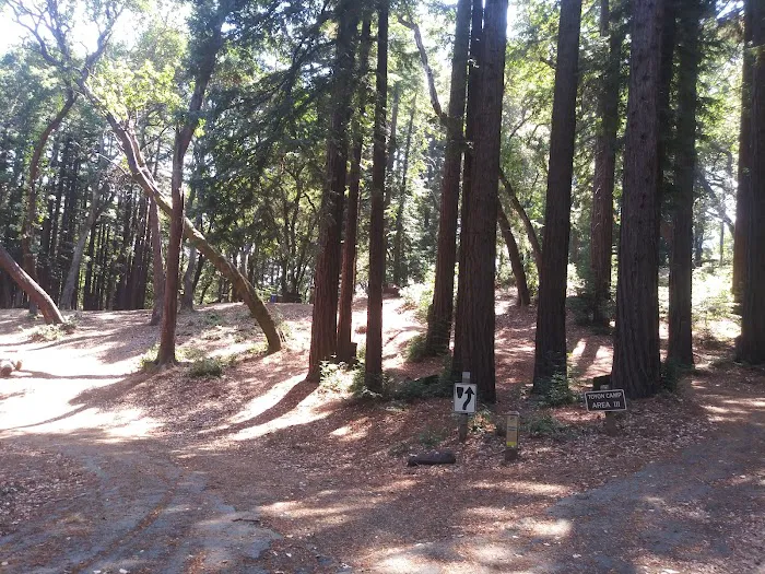 Toyon Campground Picture 1