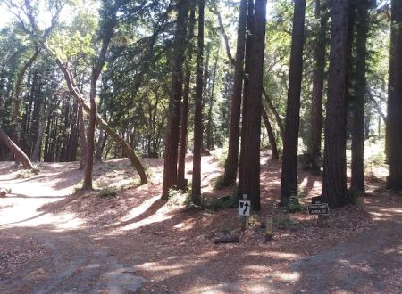 Toyon Campground