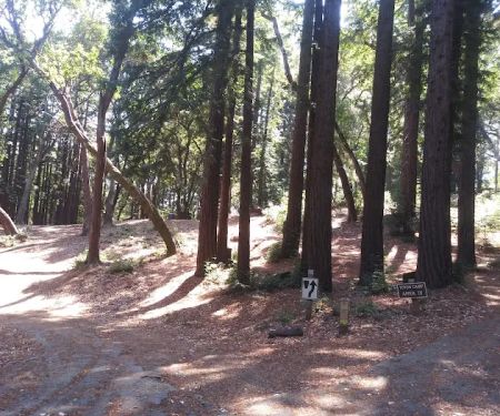 Toyon Campground