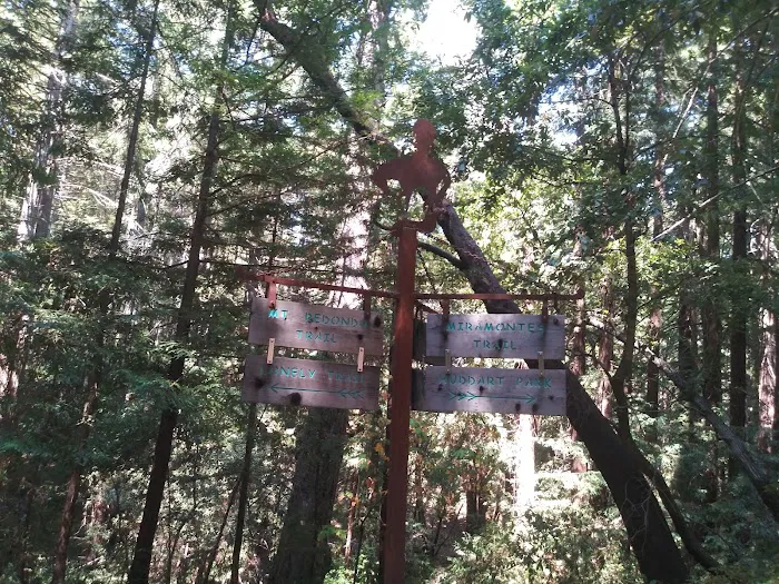 Toyon Campground Picture 2