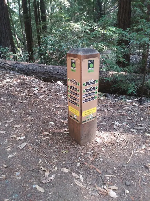 Toyon Campground Picture 3