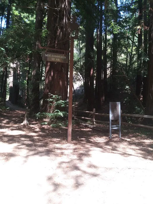 Toyon Campground Picture 6