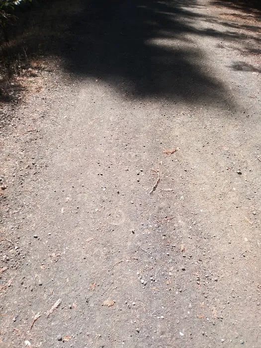 Toyon Campground Picture 5