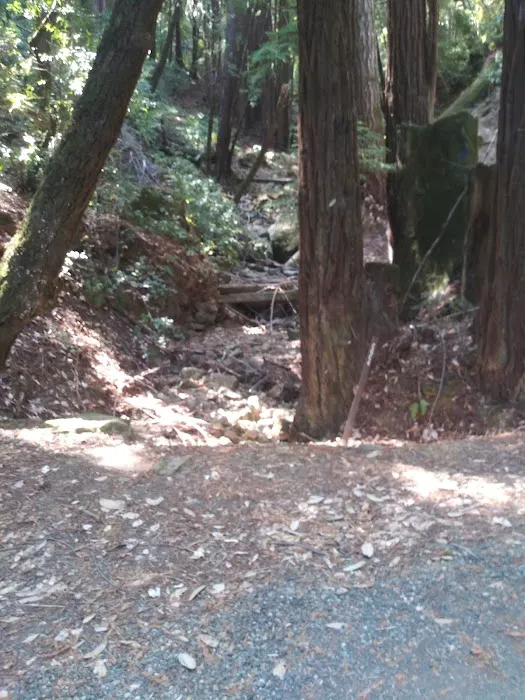 Toyon Campground Picture 9