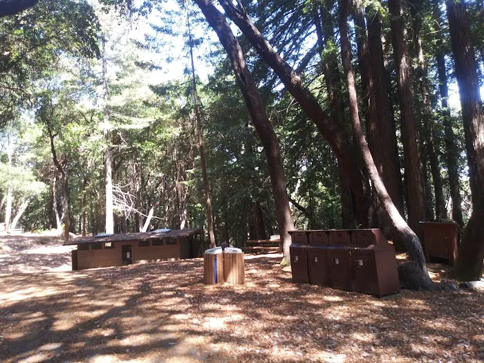 Toyon Campground Picture 8