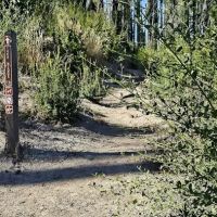 Ben Ries Campground, Butano State Park ico