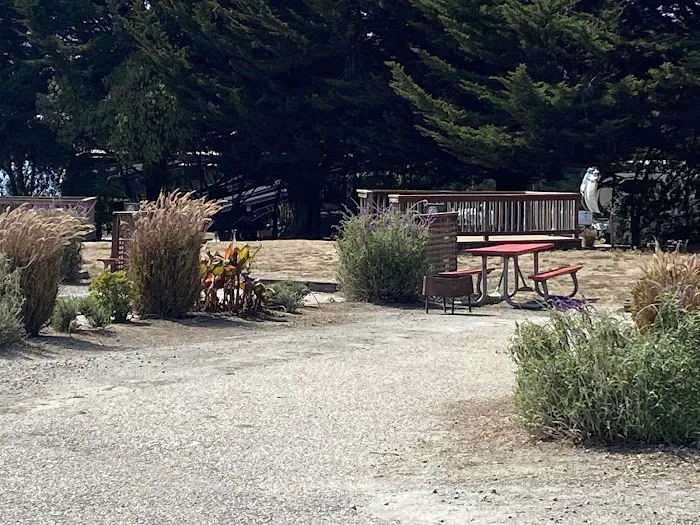 Santa Cruz North / Costanoa KOA Picture 7
