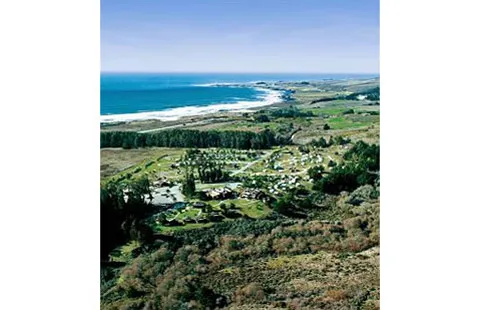 Santa Cruz North / Costanoa KOA Picture 9