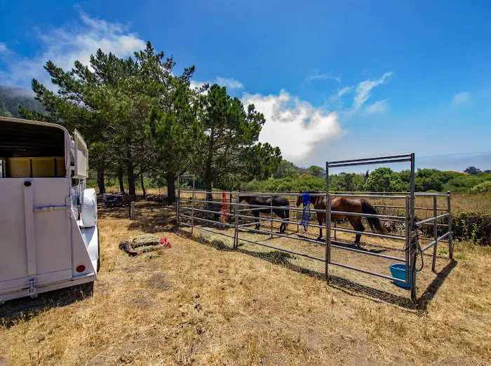 Rancho del Oso Walk-in & Bike-in Campground Picture 5