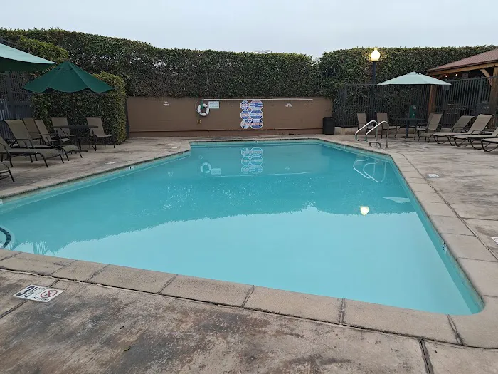 Anaheim Harbor RV Park Picture 2
