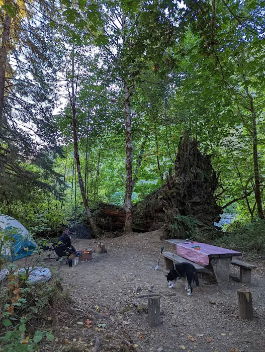 Lena Creek Campground Picture 8
