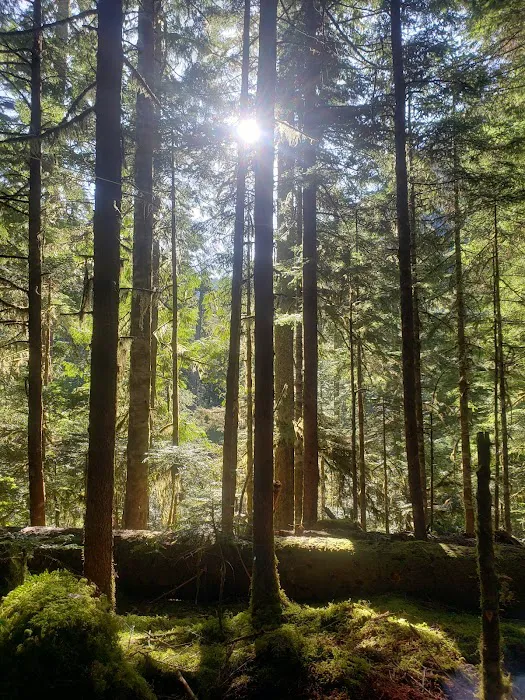 Lena Lake Campground Picture 4