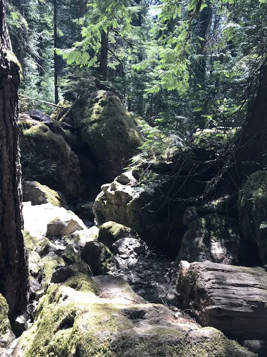 Lena Lake Campground Picture 6