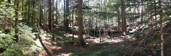 Lena Lake Campground Picture 7