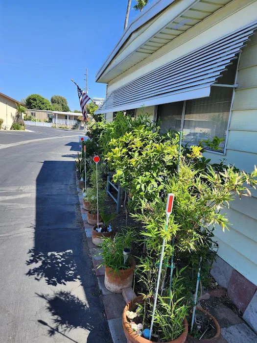 Kona Kai Mobile Home Park Picture 2
