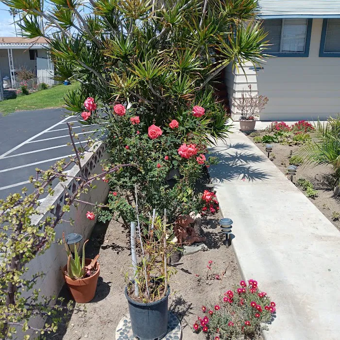 Kona Kai Mobile Home Park Picture 8