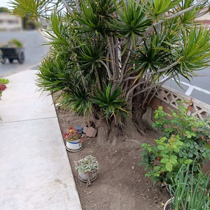 Kona Kai Mobile Home Park Picture 9