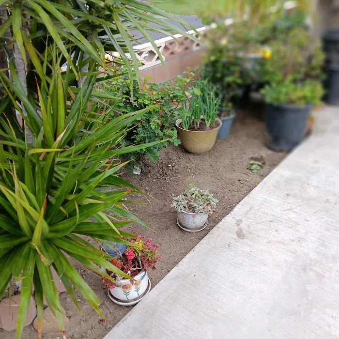 Kona Kai Mobile Home Park Picture 10