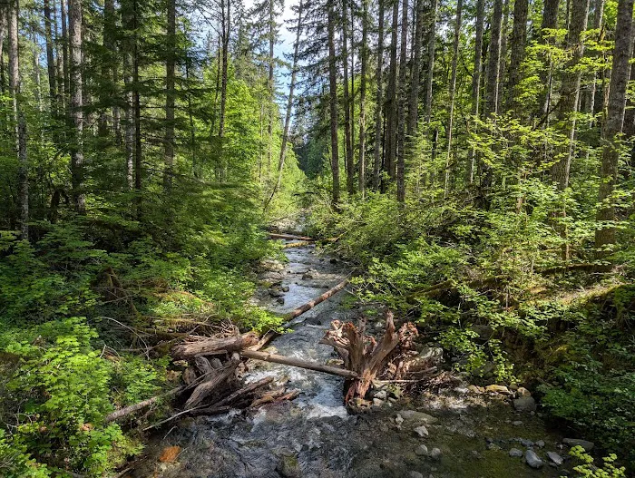 Big Creek Campground Picture 3