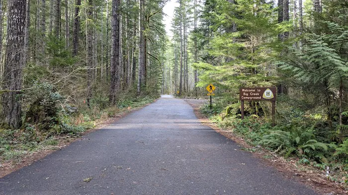 Big Creek Campground Picture 6