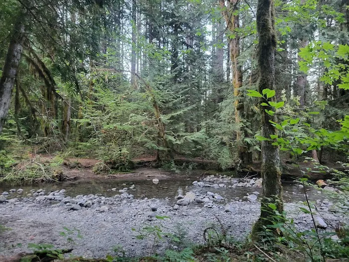 Big Creek Campground Picture 5