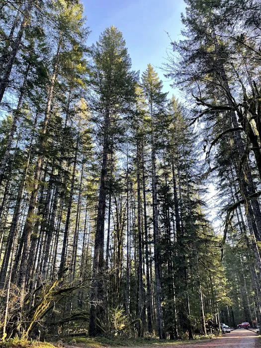 Big Creek Campground Picture 7