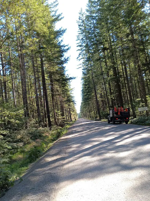 Big Creek Campground Picture 8