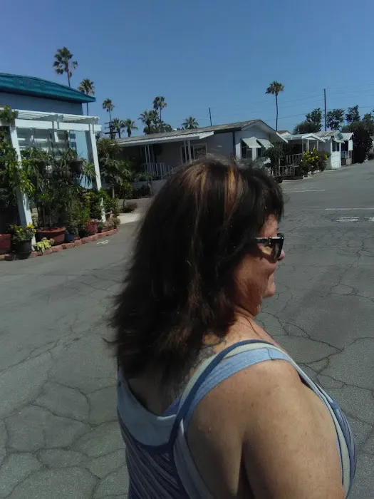 Town & Country Trailer park Picture 3