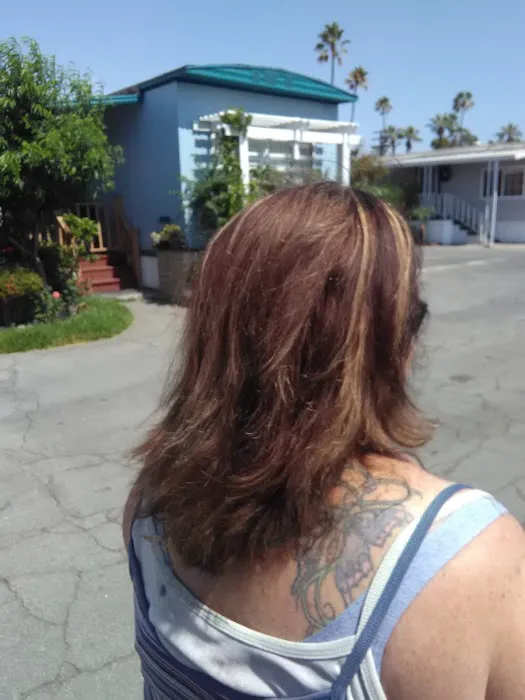 Town & Country Trailer park Picture 7