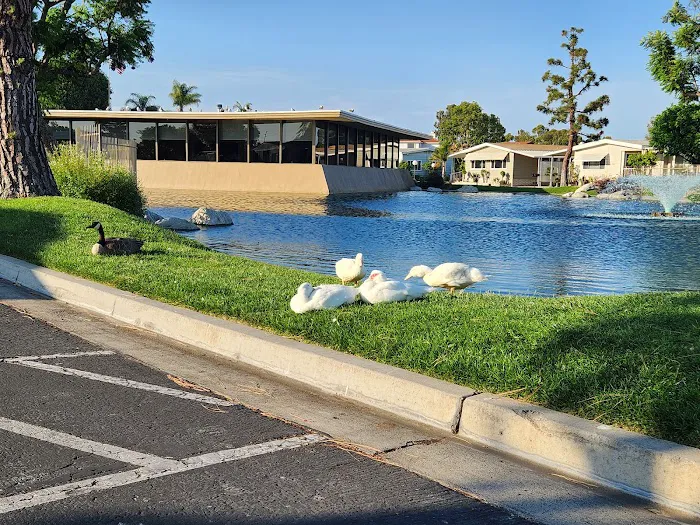 Lake Park Santa Ana Picture 2
