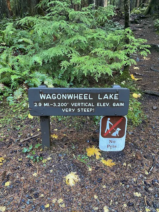 Wagonwheel Lake Picture 10
