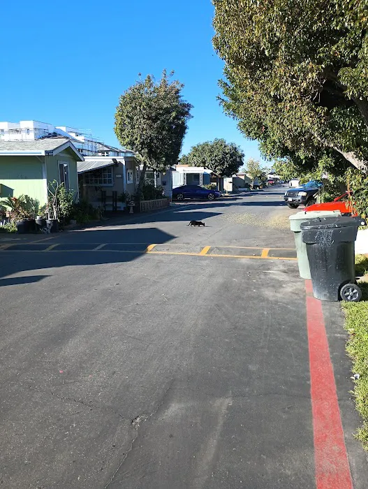 Golden Skies Mobile Home Park Picture 1