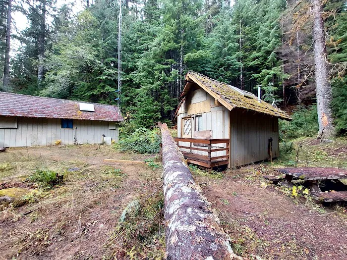Dosewallips Campground Picture 1