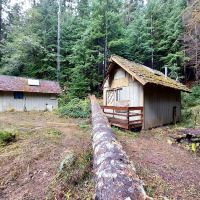 Dosewallips Campground ico