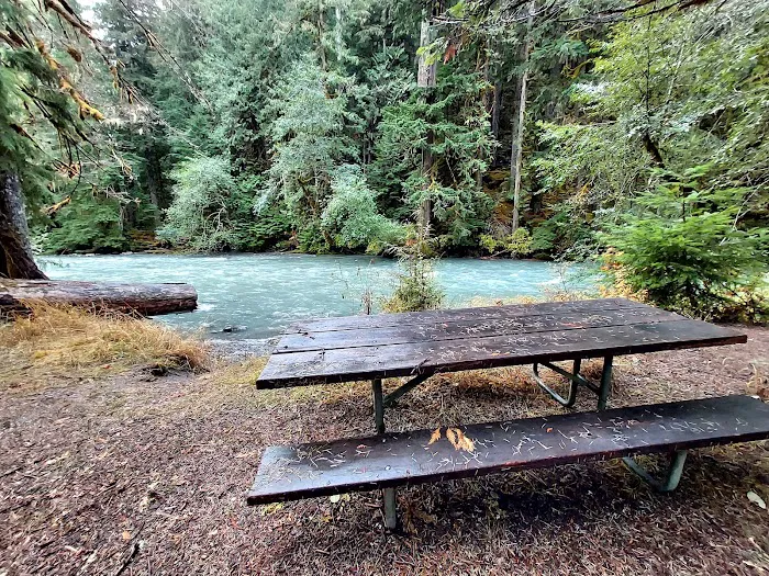 Dosewallips Campground Picture 3