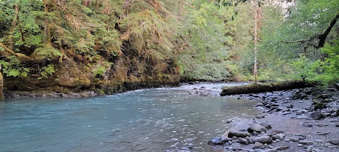 Dosewallips Campground Picture 7
