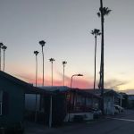 Del Ray Estates