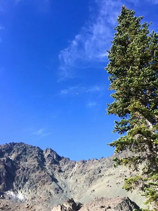 Royal Basin Campsite Picture 7