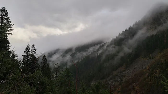 Royal Basin Campsite Picture 8