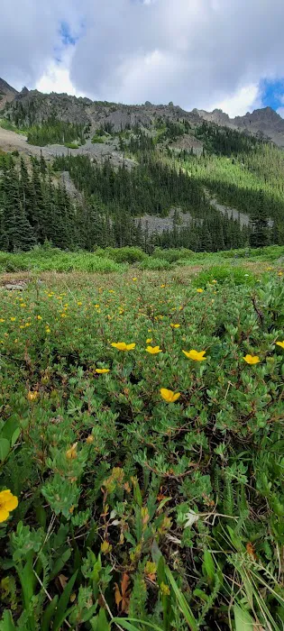 Lower Royal Meadow Picture 1