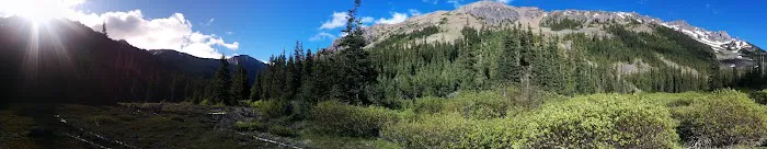 Lower Royal Meadow Picture 6