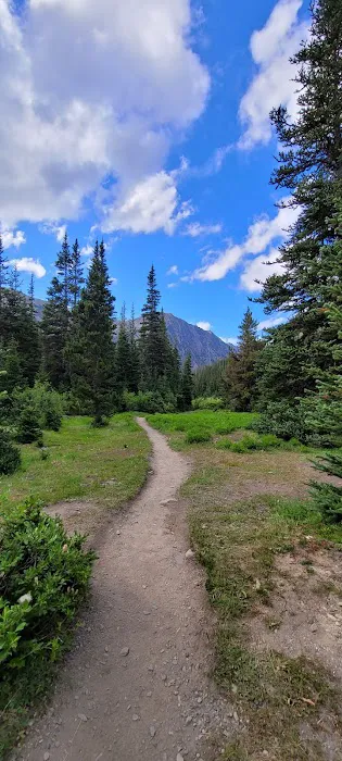 Lower Royal Meadow Picture 7