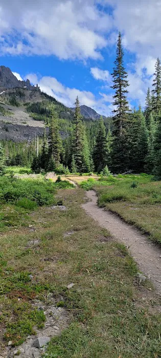 Lower Royal Meadow Picture 5