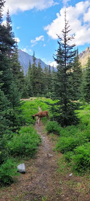 Lower Royal Meadow Picture 8