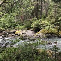 Big Timber ico